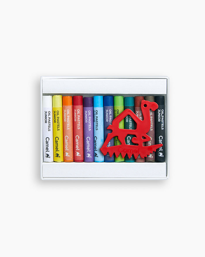 Camel Oil Pastels Assorted carton pack of 12 shades Junior