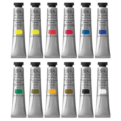 Winsor & Newton Professional Acrylic Set  12x20ml