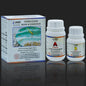 Ultra Clear Set Resin 200Gms Hardener 100Gms UCR300